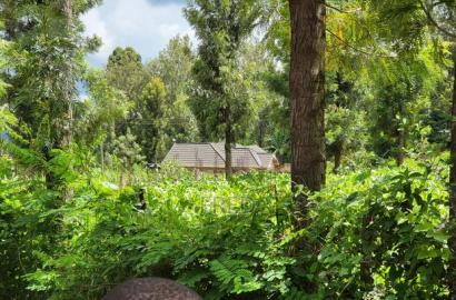 Commercial Space for Sale on Kisii