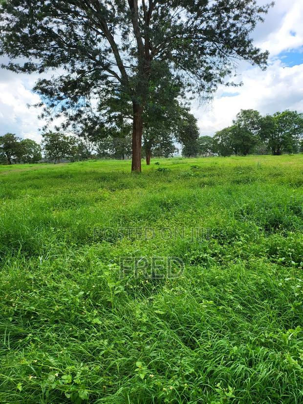 Juja Commerce Plots