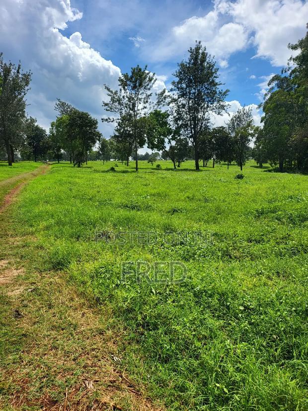 Juja Commerce Plots