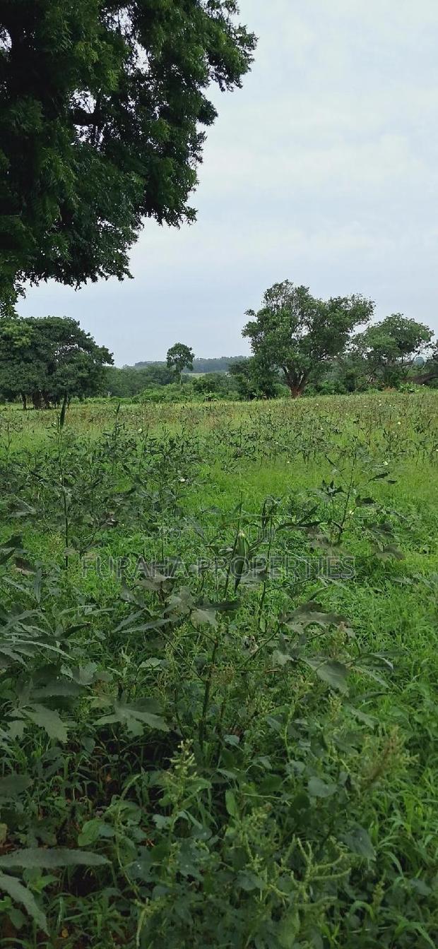 For Sale Several Eighth Acres Plots
