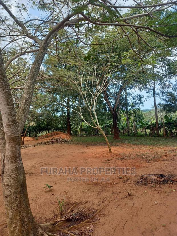 For Sale 11 Acres Agricultural Land Ramisi