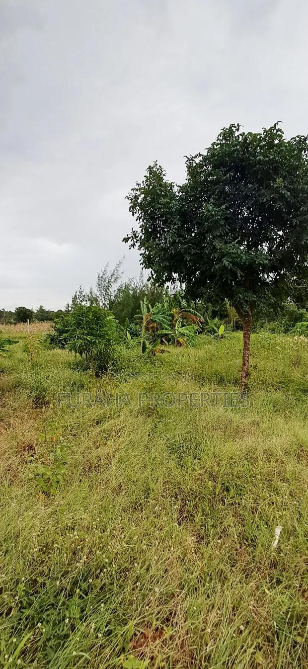 For Sale 4 Acre Prime Land Vipingo