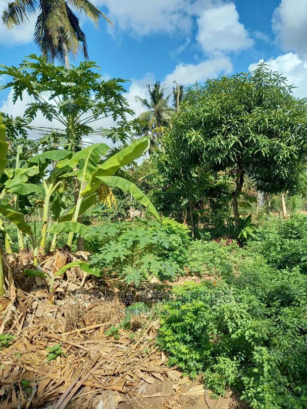 For Sale 2 Acre Land Ukunda