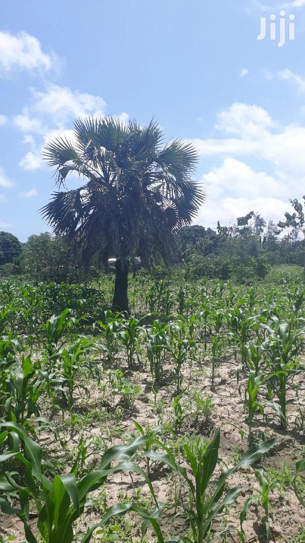 For Sale Quater Acres Plots Mtepeni Mtwapa