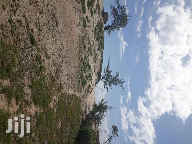For Sale 4 and a Half Beach Land Malindi