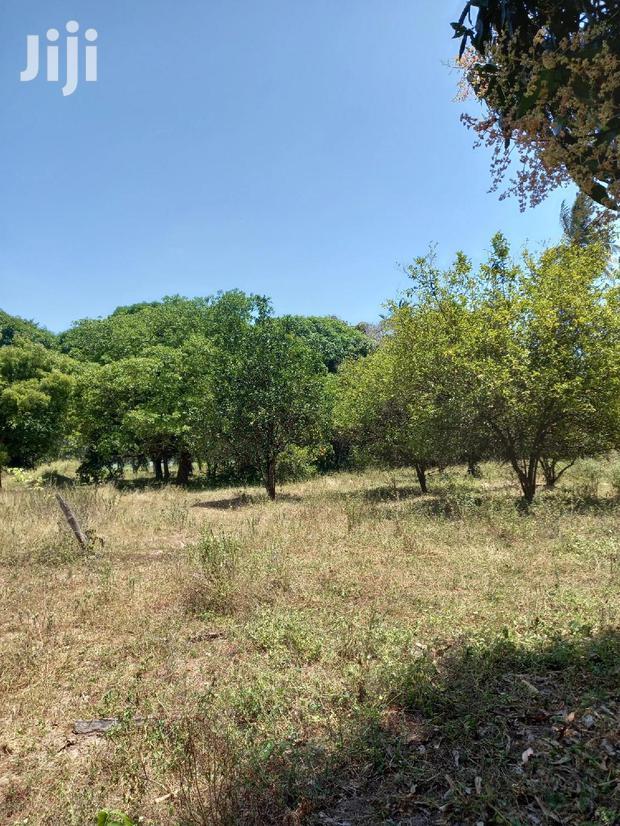 For Sale 5 Acre Agricultural Land Kikambala