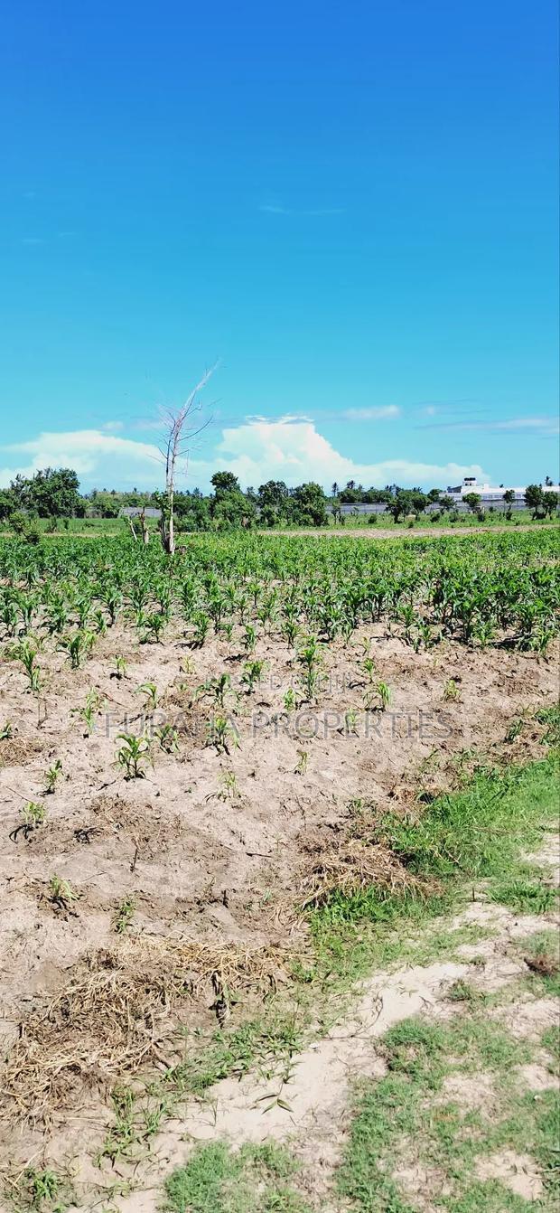 For Sale 80 Acres Land Vipingo