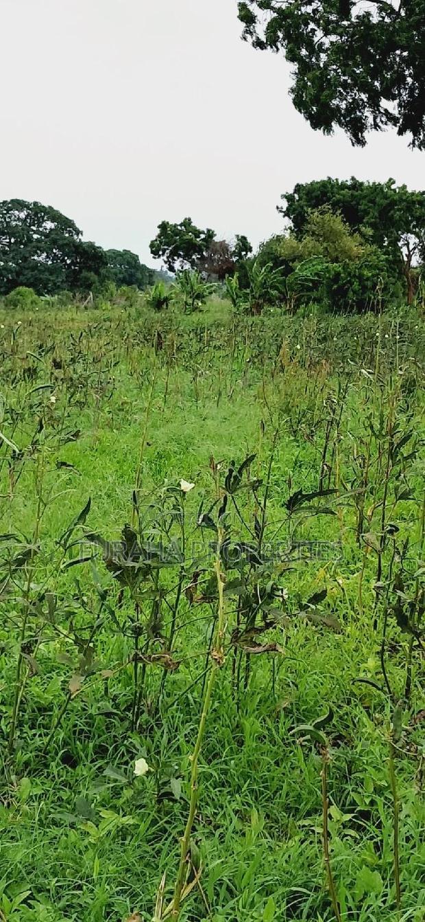 For Sale Several Eighth Acres Plots