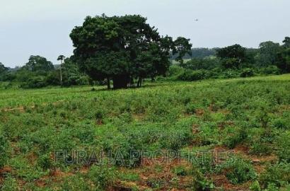 For Sale Several Eighth Acres Plots