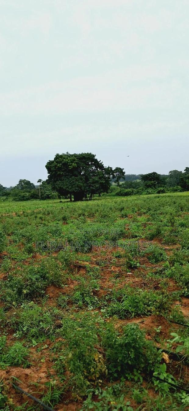 For Sale Several Eighth Acres Plots