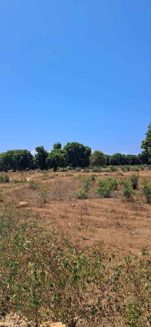 For Sale 15 Acres Prime Land Vipingo