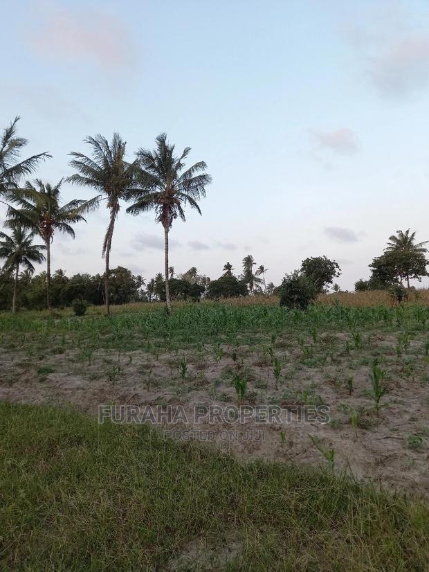 For Sale 12 Acre Agricultural Land Kikambala.