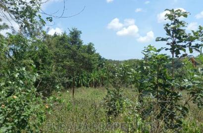 For Sale 11 Acres Agricultural Land Ramisi