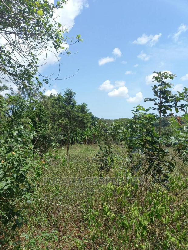 For Sale 11 Acres Agricultural Land Ramisi