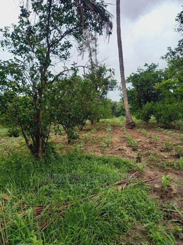 For Sale 4 Acre Agricultural Land Kikambala