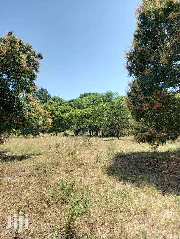 For Sale 5 Acre Agricultural Land Kikambala