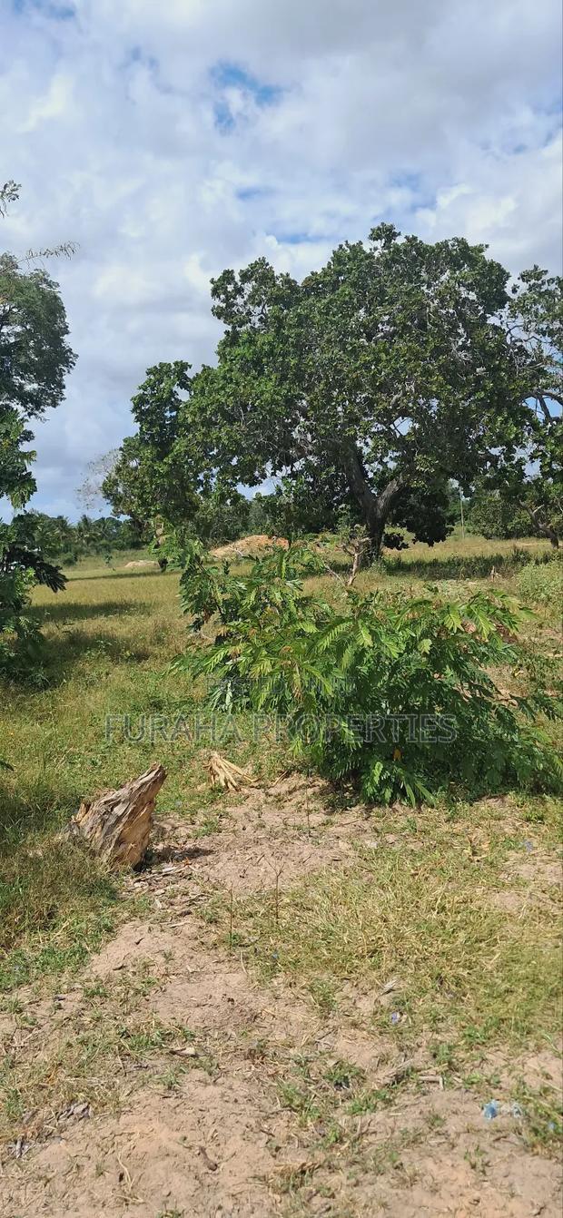 For Sale 1.1acre Land Dongo Kundu Bypass