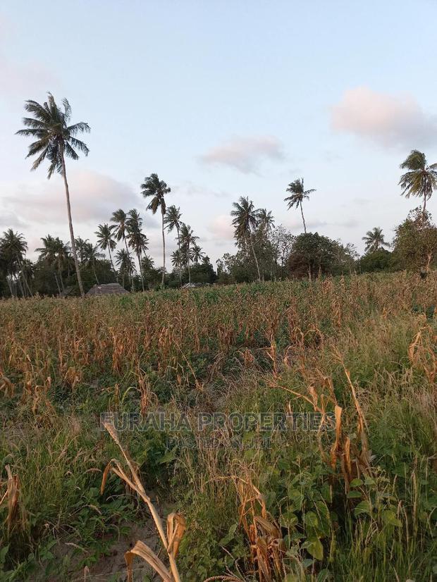 For Sale 12 Acre Agricultural Land Kikambala.