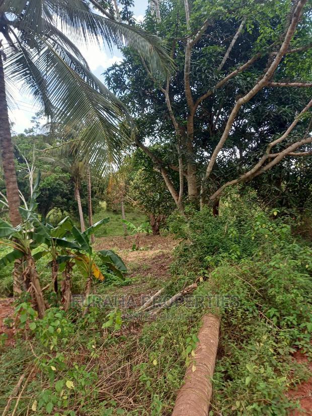 For Sale 6 Acre Agricultural Land Msambweni