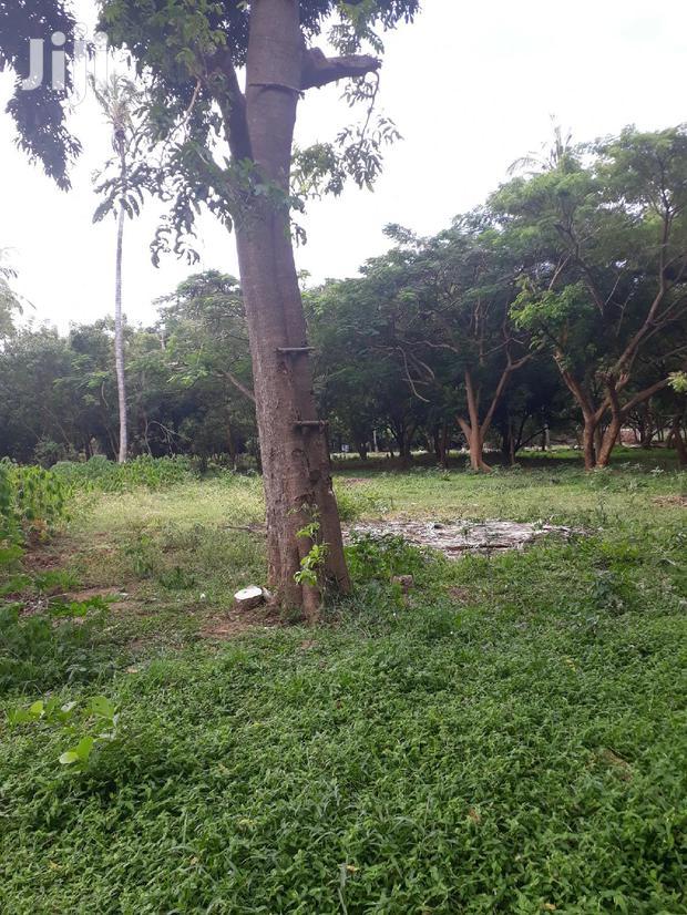 For Sale Several Quater Acre 2nd Raw Beach Plots Mtwapa.