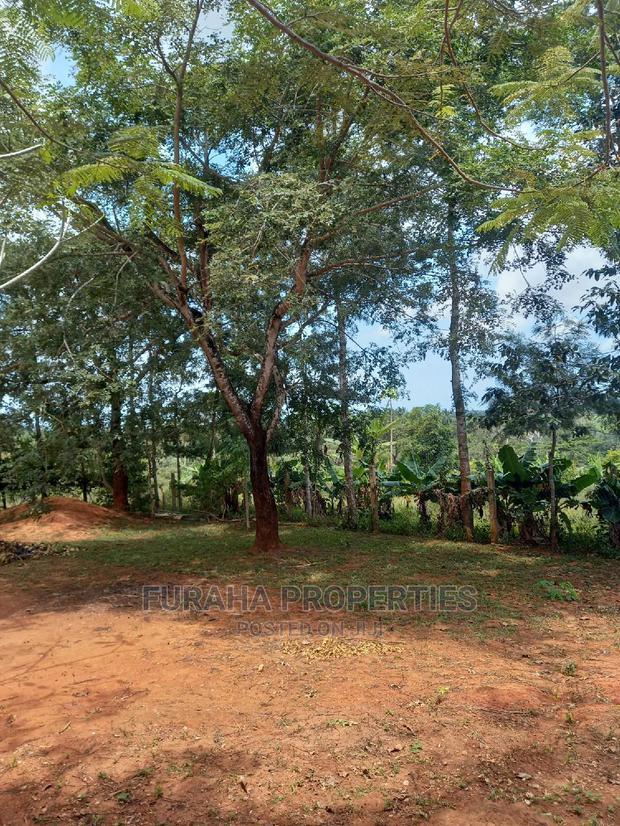For Sale 11 Acres Agricultural Land Ramisi
