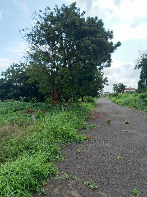 For Sale 50 by 100 Plots Malindi.