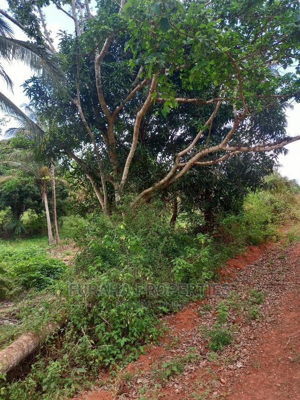 For Sale 6 Acre Agricultural Land Msambweni