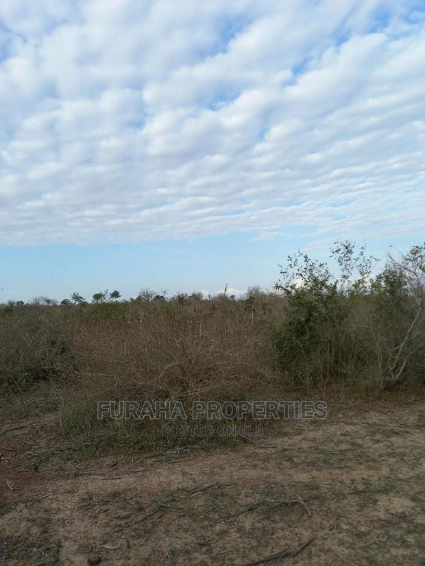 For Sale 100 Acre Ranch Kwale