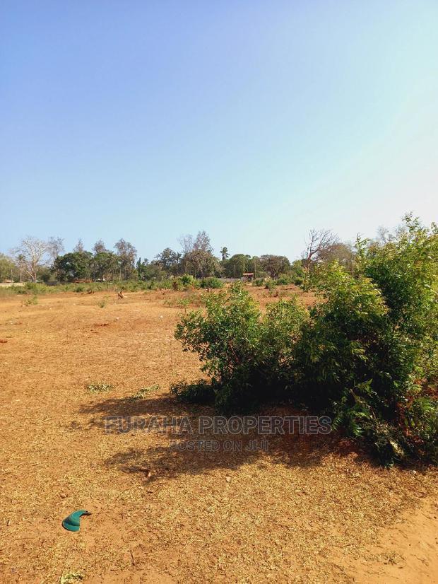 For Sale 4 Acre Land Mtapa