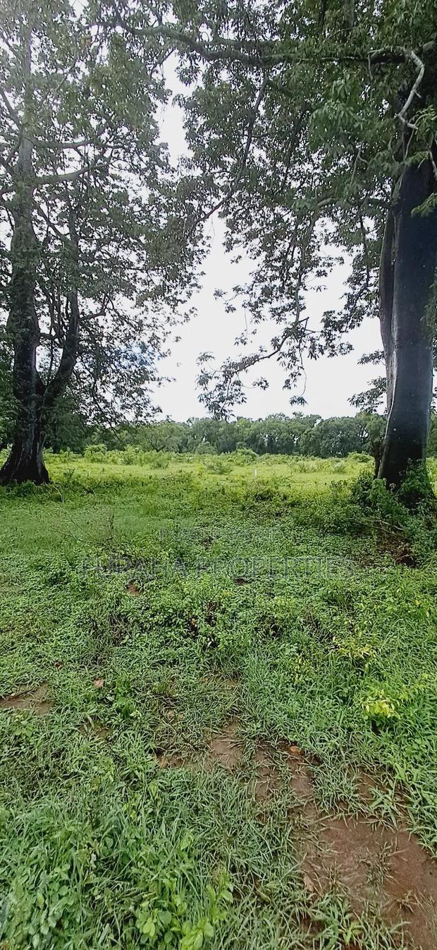 For Sele Quater/Half Acre Plots Vipingo