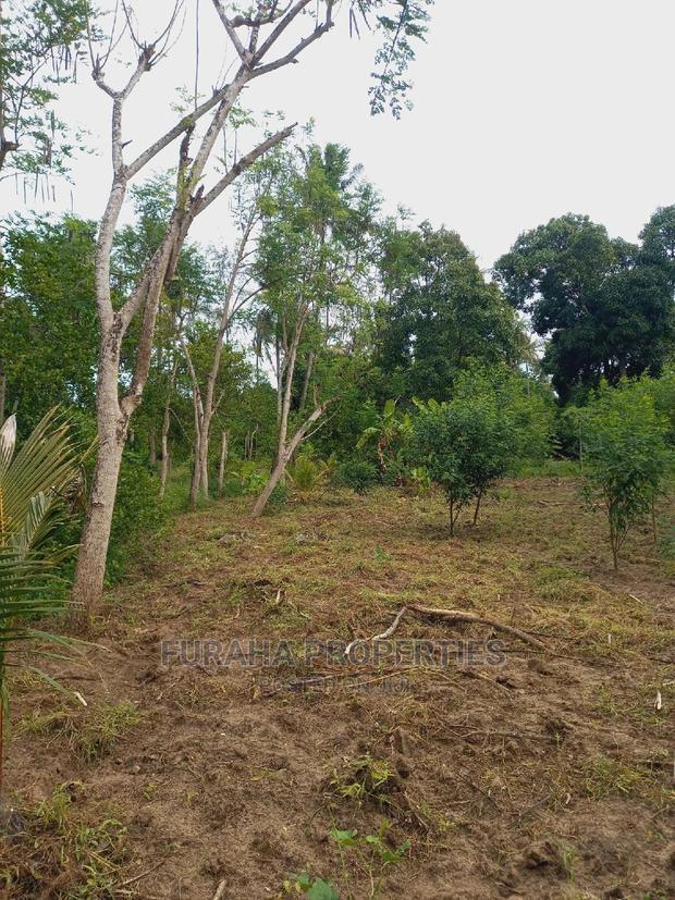 For Sale 4 Acre Agricultural Land Kikambala
