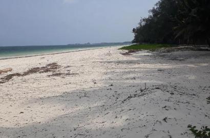 For Sale 1 Acre Beach Plot Nyali