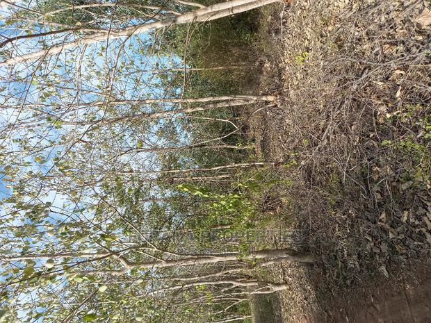 For Sale 1 Acre Commercial Land Vipingo