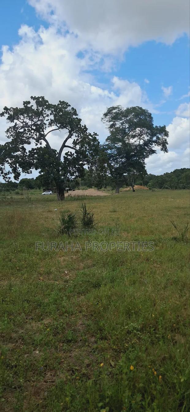 For Sale 1.1acre Land Dongo Kundu Bypass