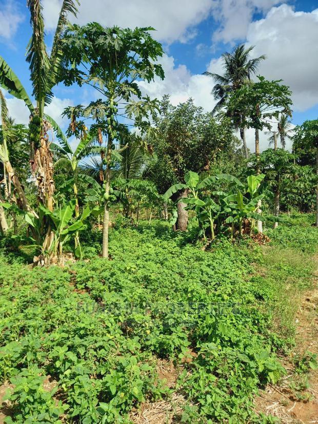 For Sale 2 Acre Land Ukunda