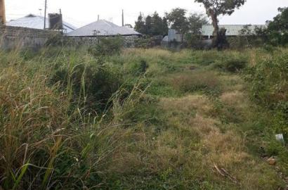 For Sale Quater Acre Plots Nyali