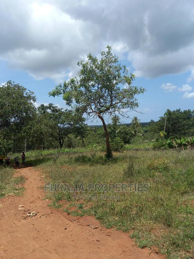 For Sale 11 Acres Agricultural Land Ramisi