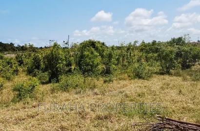For Sale Eigth Acres Plots Shanzu
