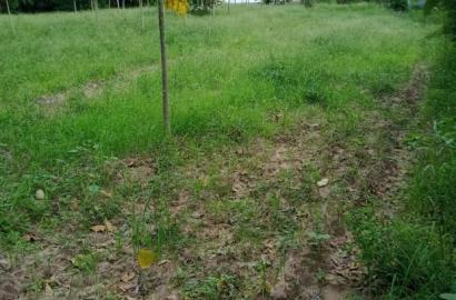 For Sale 2 Acres Agricultural Land Mtwapa
