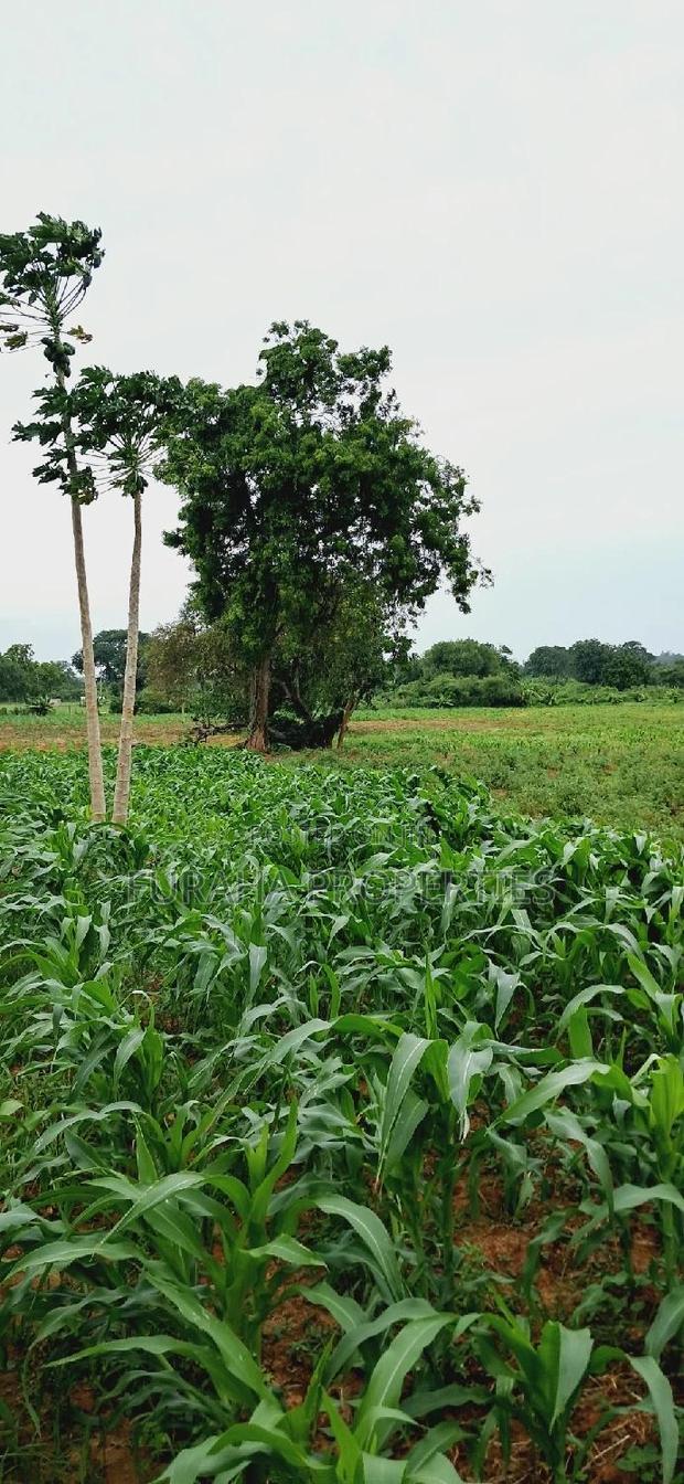 For Sale Several Eighth Acres Plots