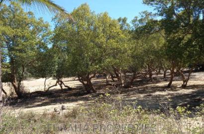 For Sale Quater Acre Several Creek Plots Mtwapa.
