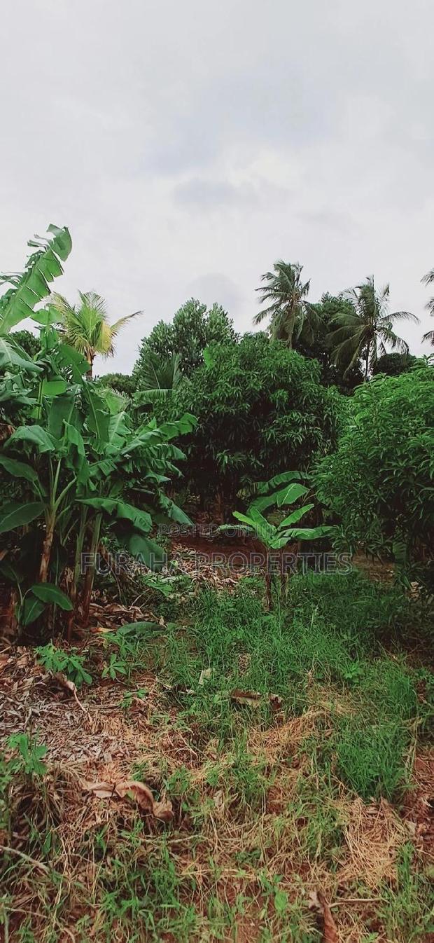 For Sale 9.5 Acre Agricultural Land Vipingo
