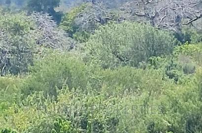 For Sale 180 Acres Kilifi.