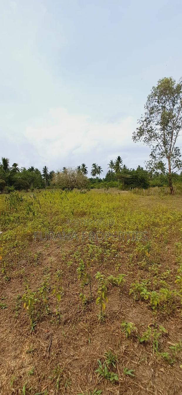 For Sale 2 Acres Land Msambweni