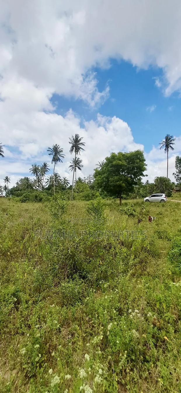 For Sale 2 Acres Agricultural Land Kalolen