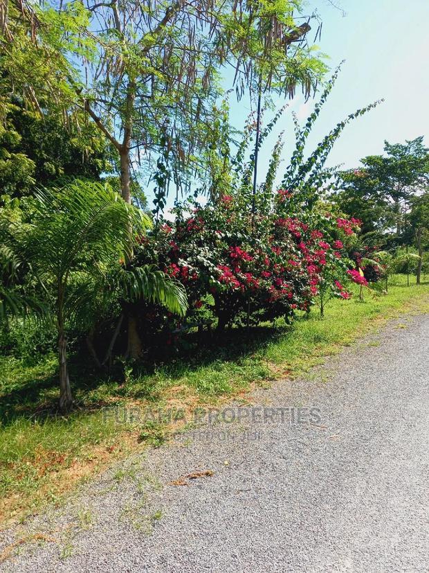 For Sale Quater/Half Acre Plots Mtwapa