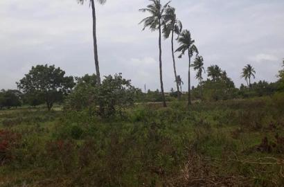 For Sale One Eighth Several Plots Kikambala