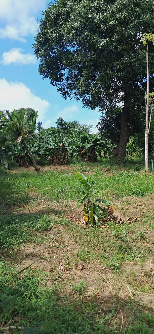 For Sale Quater Acre Plot Mtwapa.