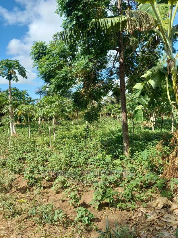 For Sale 2 Acre Land Ukunda