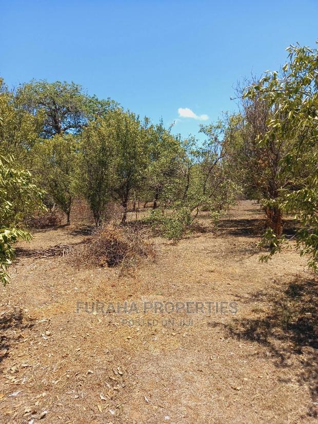 For Sale 100 Acres for Sale Kilifi.